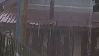 Tin Roof Serenade: Rain Sounds and Thunderstorms Unleashed