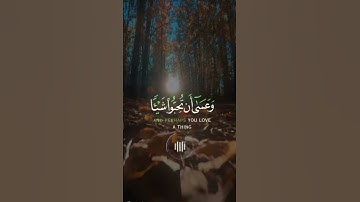 و عسي أن تكرهوا شيئاً وهو خيرا لكم .......... سوره البقره ......... القارئ محمد هشام 🍁
