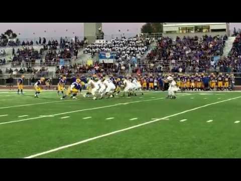 Tigers on the sack
