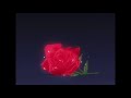 Michael Jackson P Y T Slowed Reverb Michael Jackson P Y T Slowed Reverb