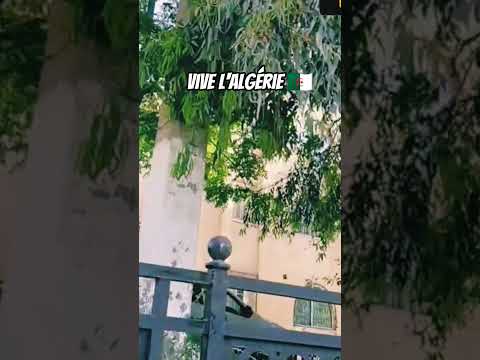 مع الموسيقى نقطع جبال وبحور نحو جمال المدية الساحر