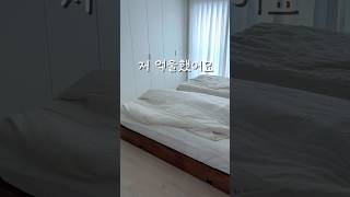 놓치면 후회하는 청소 꿀템