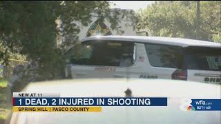 Spring Hill shooting leaves 1 dead, sends man and child to hospital