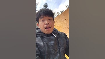 Cốp pha Nhật bản