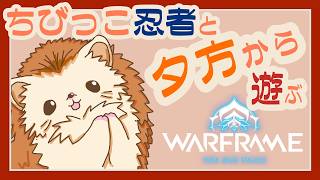 【Warframe】ぬいぐるみ集めと戦いとサーキットと。🦔💨【雑談多め・参加型】