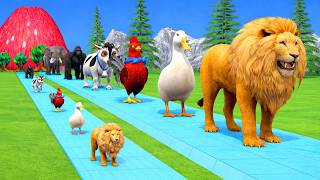 Long Slide Game With Cow Elephant Gorilla Hippopotamus Tiger 3d Animal Game Funny 3d Animals screenshot 1