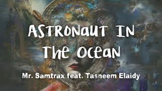 Mr. Samtrax - Astronaut In The Ocean feat. Tasneem Elaidy (audio) Resimi