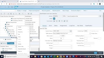 SAP S/4HANA Create Project Milestone