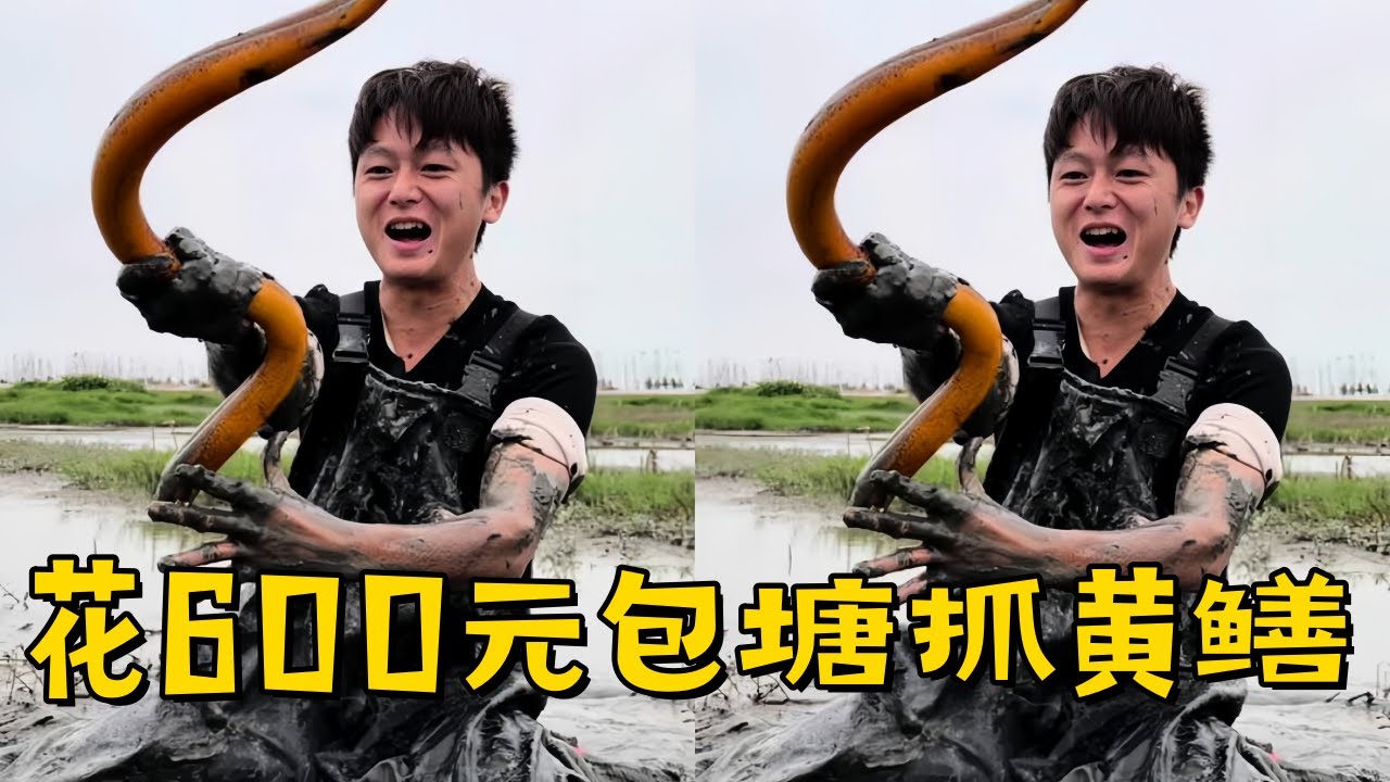 水猴子花600元包塘抓黄鳝，这样的鳝鱼有没有2斤？