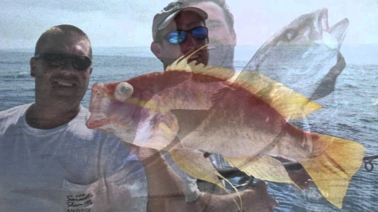 Fishing Tackle and Live Bait from Fishing Shop in Sarasota, Florida