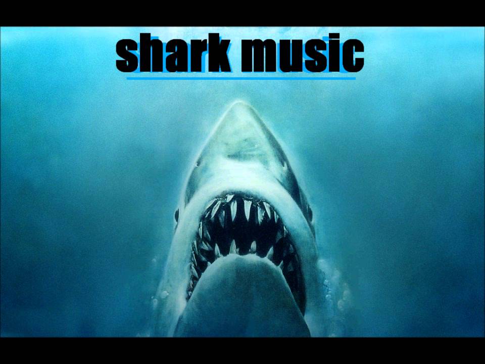 download shark mp3