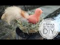 DIY Как сделать гнездо из сухой травы Птичка из воздушного пластилина Nest and bird tutorial