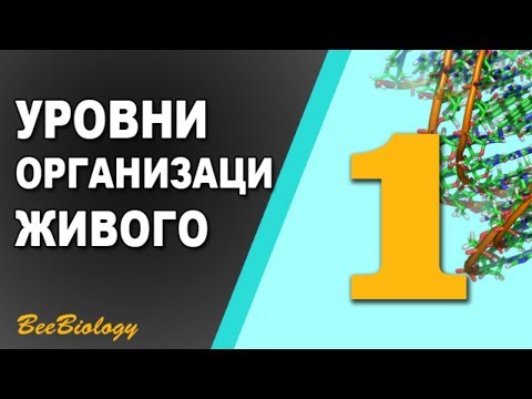 Урок по Биологии №1 - Уровни Организации Живой Материи