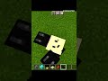 Minecraft Viral Tiktok Hack🔥#shorts