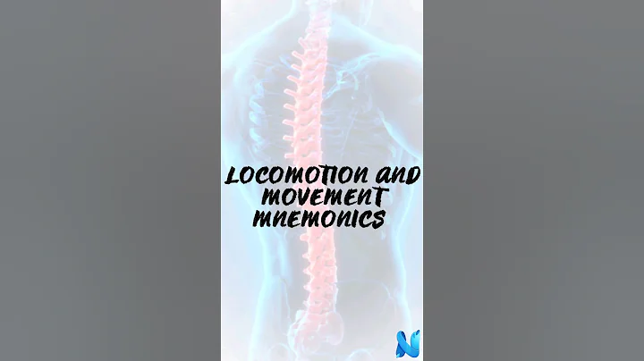 Spinal Cord Mnemonics