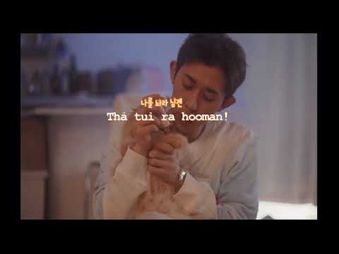 [AOMG PetTube] CODE KUNST x Seeroo x Panda (Vietsub)