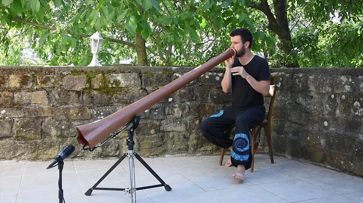 Amodeo - Si/B - By Ujazi Didgeridoo