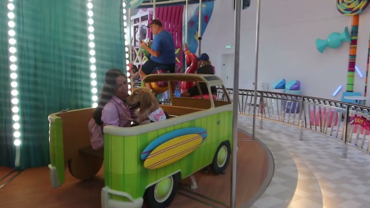 Chief dog officer Rover riding the carousel! 