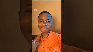 elasto market maven fx