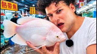 I Tried EATING Exotic AQUARIUM Fish!