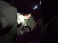 High Guy Steals Ambulance. Patient Inside. Crashes. The Chaos? UNBELIEVABLE.#arrested #shorts #viral