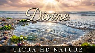 Created by God: Sublime Waves & Coastal Ambience (4K)
