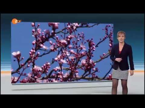 Dr Katja Horneffer 2016 YouTube dr-katja-horneffer-2016-youtube