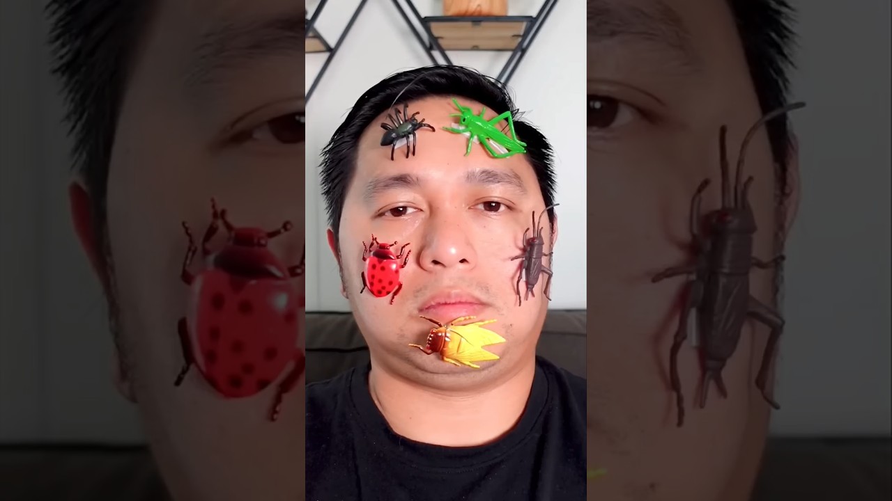 Thats Going To Be A VERY Expensive Repair Comedy Funny Shorts - Video