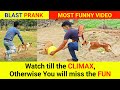 Blast prank hilarious reaction very funny animal prank prank prankdog comdey go2fun