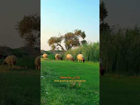 حزيمة اجمل بلدة في مدينة الرقة السورية