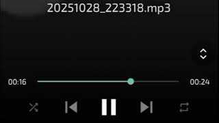 SOFT GAMES NET: fatal error! screenshot 2