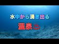 水中から湧き出る温泉・石垣島ダイビング・ディーズパルス沖縄