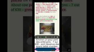Apprendre l'anglais avec VOA: Pour la première fois, des scientifiques créent des souris avec d...