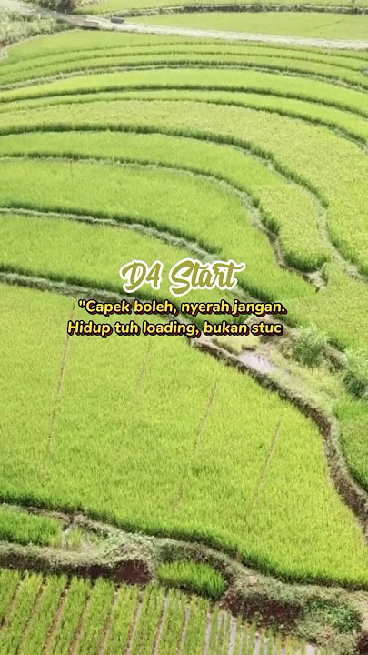 story wa hari ini ll #story