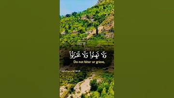 تلاوة خاشعة تريح الهموم #اكسبلور #islamic_video #المصحف #aslam #لايك #تلاوة #trend