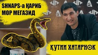 КУТИИ ХАТАРНОК #3 бо SHNAPS I КАЖЕТСЯ НАЩУПАЛ ПО ТАДЖИКСКИЙ AVLOD MEDIA