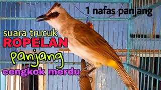 ROPELAN TRUCUKAN cengkok syahdu nafas panjang pagi hari