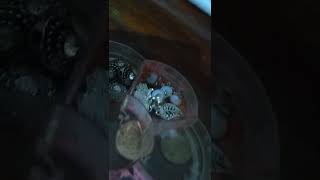 Arrumando Meu Quarto Parte 1