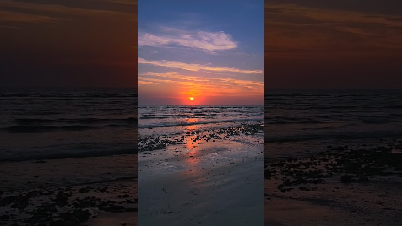 magical night ending with a florida winter 