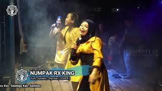 NUMPAK RX KING - ALL ARTIS (COVER) || BOSS MUDA PRODUCTION