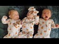 The Triplets Name Reveal + How We Chose Their Names!!