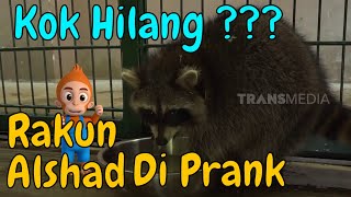 PRANK RAKUN ALSHAD AHMAD PAKE PERMEN RAMBUT NENEK | SI OTAN (18/11/19) PART 2