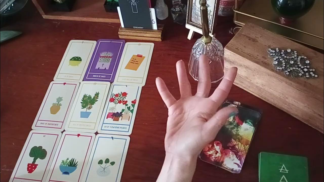 Sagittarius Spring forward or Fall back YouTube