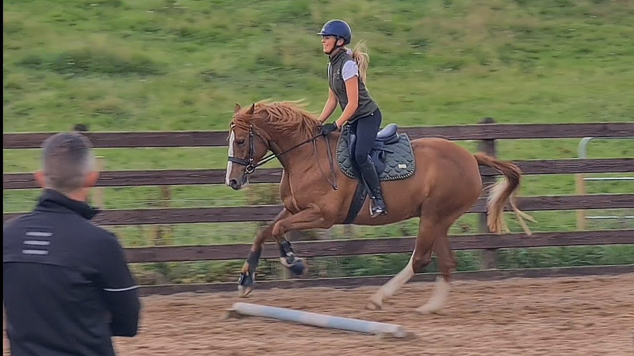 Poles, Ponies, Barbies and Courgettes... yea you heard that right!