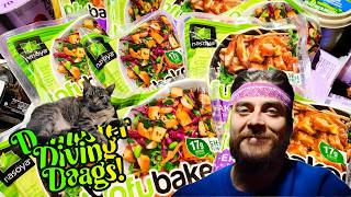 Dumpster Diving For Food Grocery Store Galore!!!