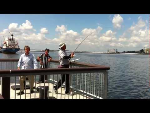 FishingSpore - YouTube