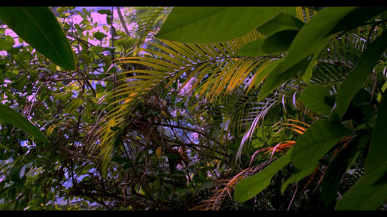 BOGA Bern c200 cn24,Daniel mit Resu.Teil 2