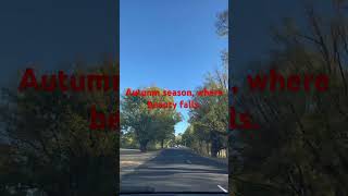 Autumn Season Is Falling