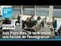 Aux paysbas les entreprises de la tech craignent un durcissement de la politique dimmigration