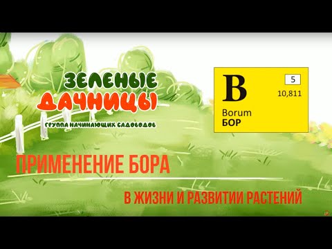 #ВАЖНО!!! Применение Бора в жизни и развитии растений#Бор_Для_Растений.13
